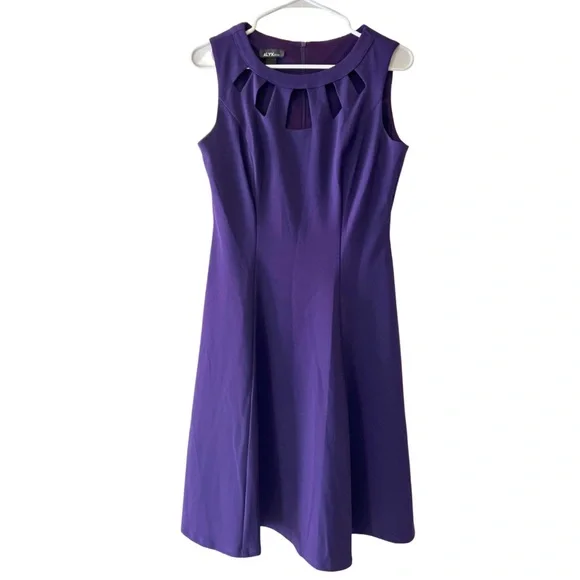 Alyx Deep Plum Fit & Flare Dress with Cutouts